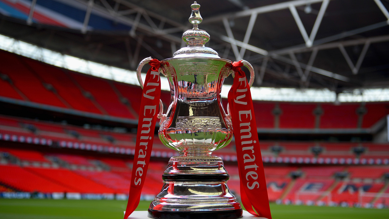 emirates-fa-cup-on-stand-on-pitch